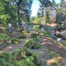 Several volunteers pose with clumps of weeds along the Arboretum waterway